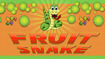 Fruit Snake