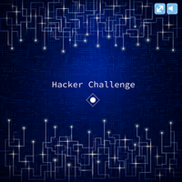 Hacker Challenge